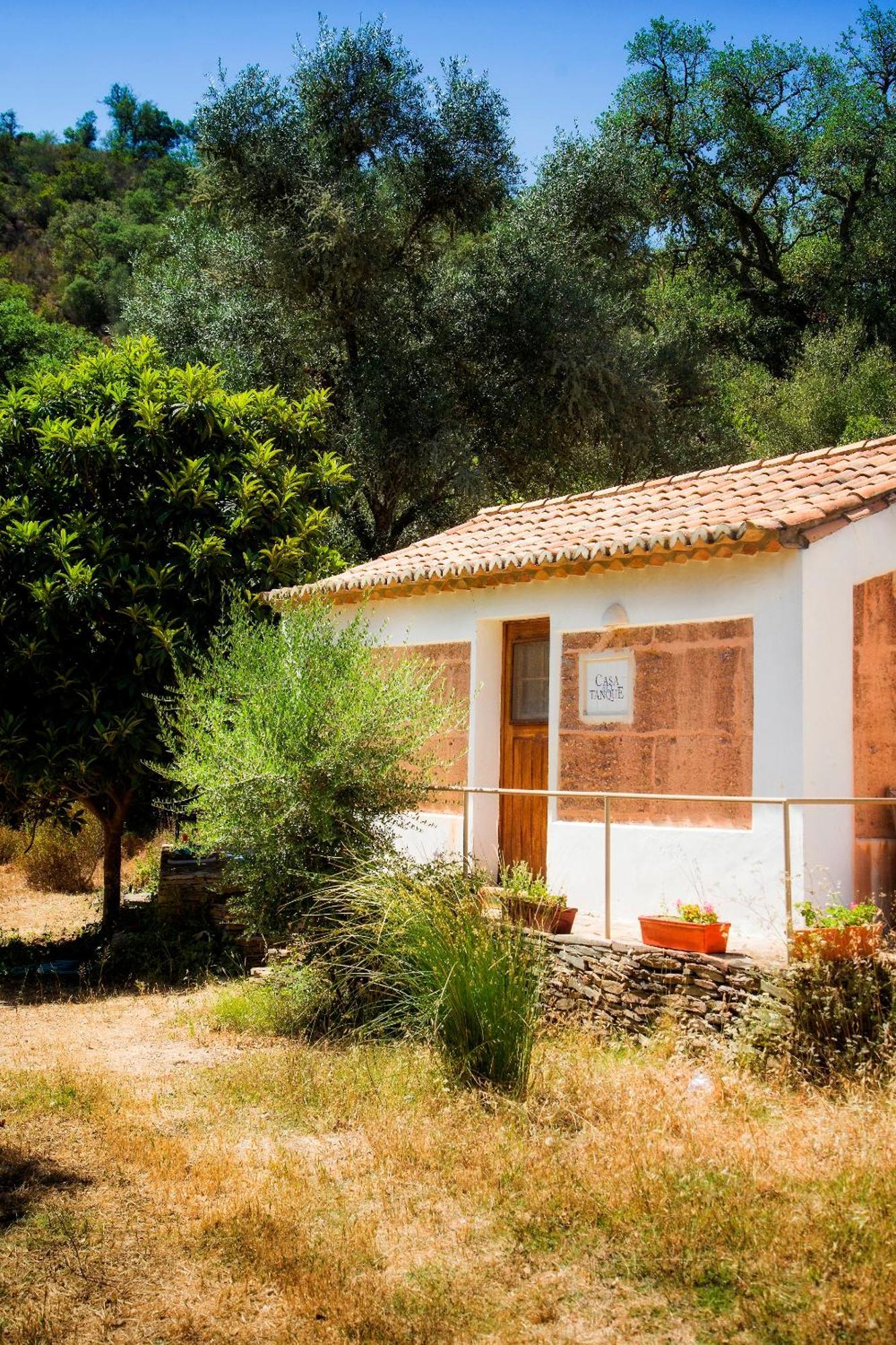 Casas Da Cerca Guest House Troviscais Eksteriør bilde