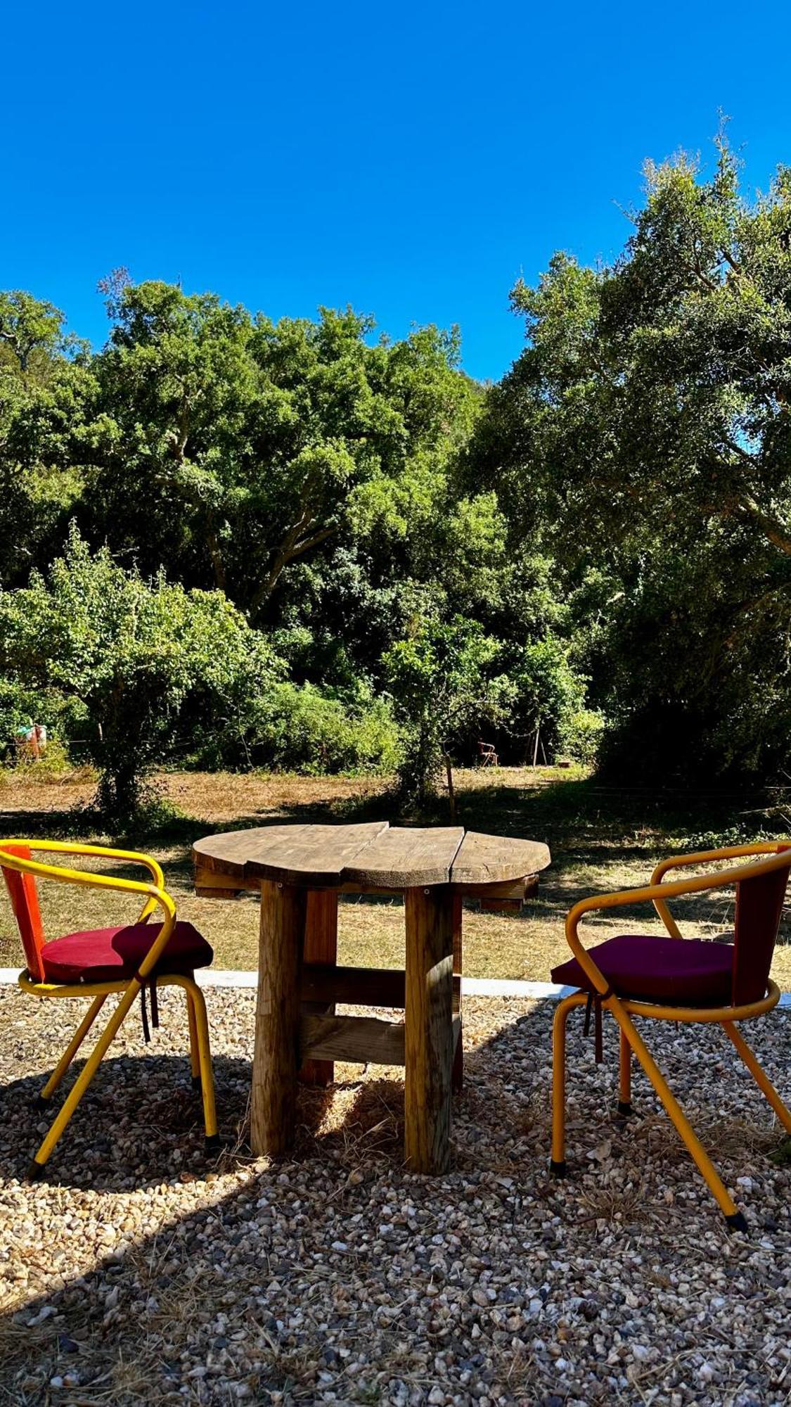 Casas Da Cerca Guest House Troviscais Eksteriør bilde